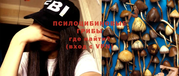 винт Нея