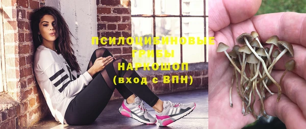не бодяженный Нефтегорск
