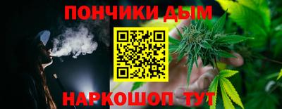 СК Дубна
