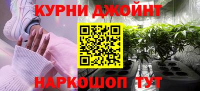 СК Дубна