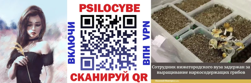 mega ТОР  Сатка  shop как зайти  Псилоцибиновые грибы Cubensis 