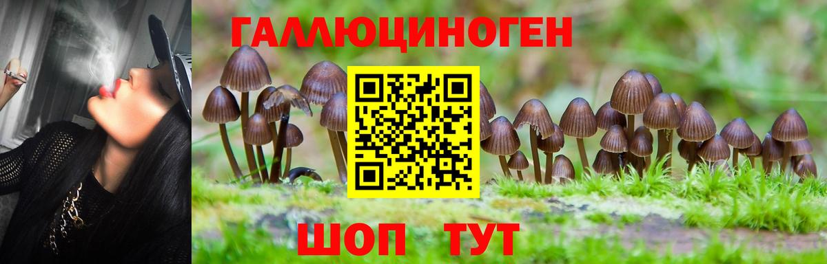 Сатка  Галлюциногенные грибы прущие грибы  Вход с VPN 